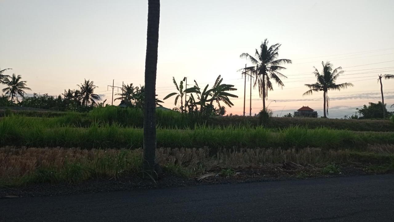 Saba Neny'S Homestay מראה חיצוני תמונה